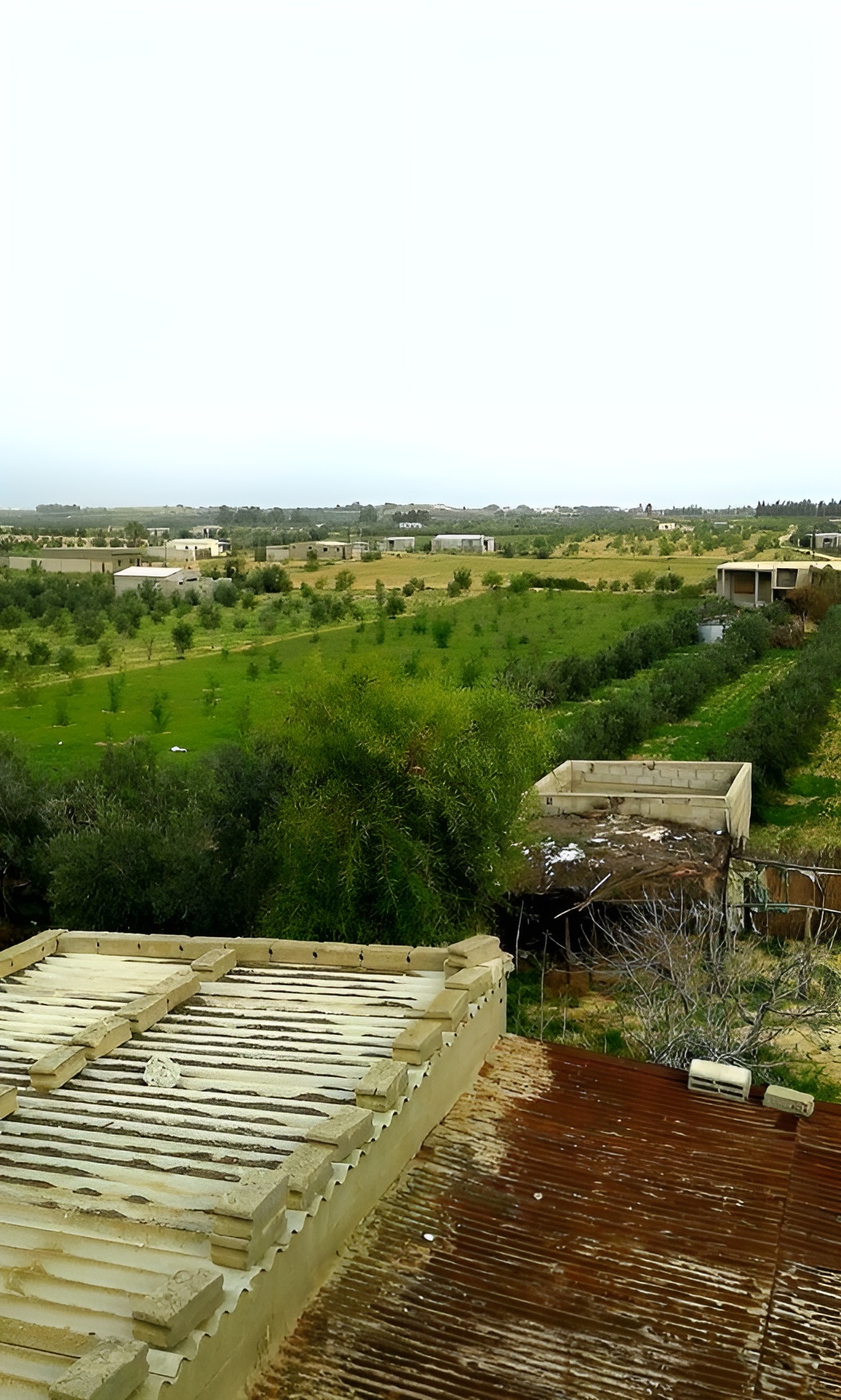 A rooftop view shows a rural landscape with buildings and greenery, reflecting the beauty often found in Urdu poetry.